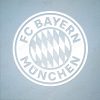 Fc-Bayern-Munich-Logo Fc Bayern Munich Logo