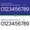 Leicester City 2021-22 Cup Kit Font & Vector