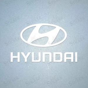 Hyundai Sponsor Patch