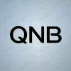 PSG QNB Sponsor Patch Black PSG QNB Sponsor Patch Arm Sleeve Soccer Sponsor Logo Sticker