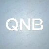 PSG QNB Sponsor Patch White PSG QNB Sponsor Patch