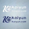 Kaiyun sponsor logo Nottingham Forest Kaiyun Sponsor Football Shirt Logo Sticker