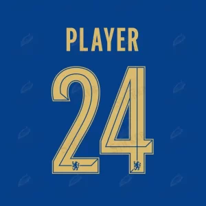 Custom 2023-24 Chelsea Home Kit Nameset Heat Transfer Jersey Numbers Sticker