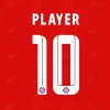 2022-23 Bayern Munich Nameset 2021-23 Bayern Munich Nameset Custom Name Number Set Sticker