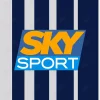 Juventus Sky Sport sponsor patch for away jersey 2004-05 Juventus Sky Sport Sponsor Patch