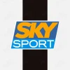 Juventus Sky Sport sponsor patch for home jersey 2004-05 Juventus Sky Sport sponsor patch for official jersey