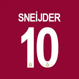 Galatasaray Sneijder 10 football jersey nameset sticker for DIY repair